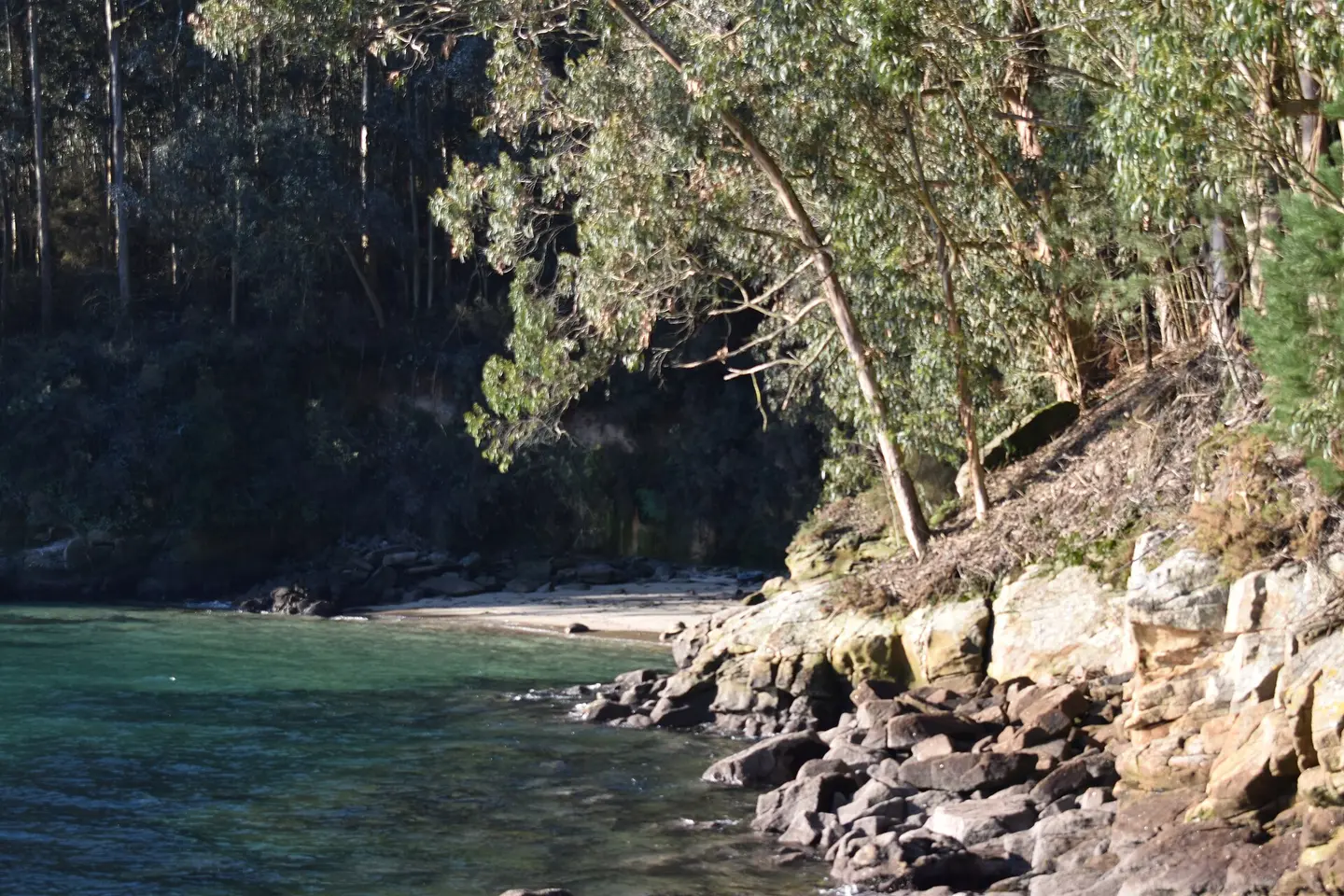 Playa de A Dreira