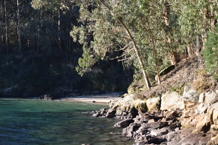 Playa de Area da Isla