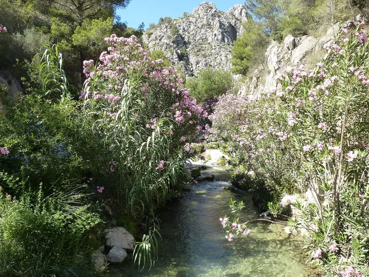 Baños Rio Algar