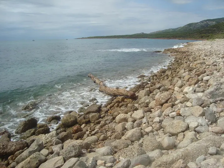 Playa de Basseta