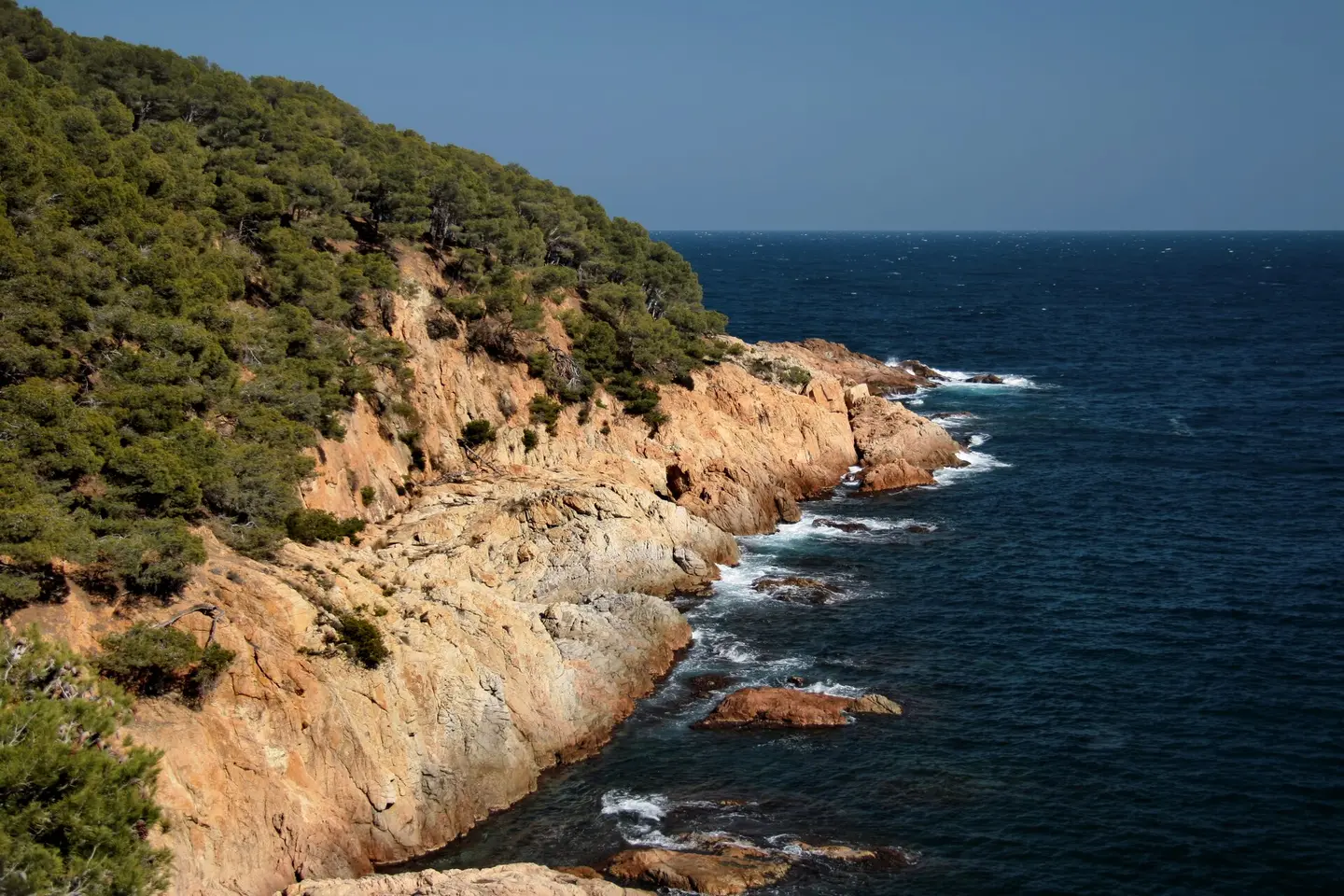 Cala Pedrosa