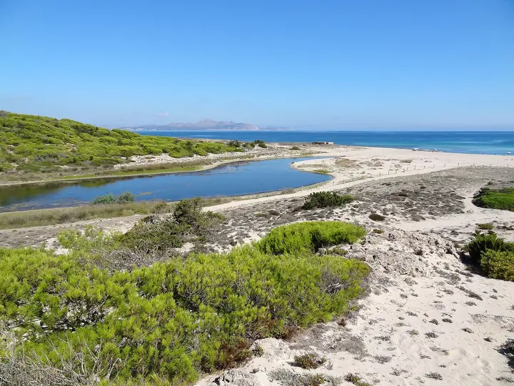 Cala Serralot