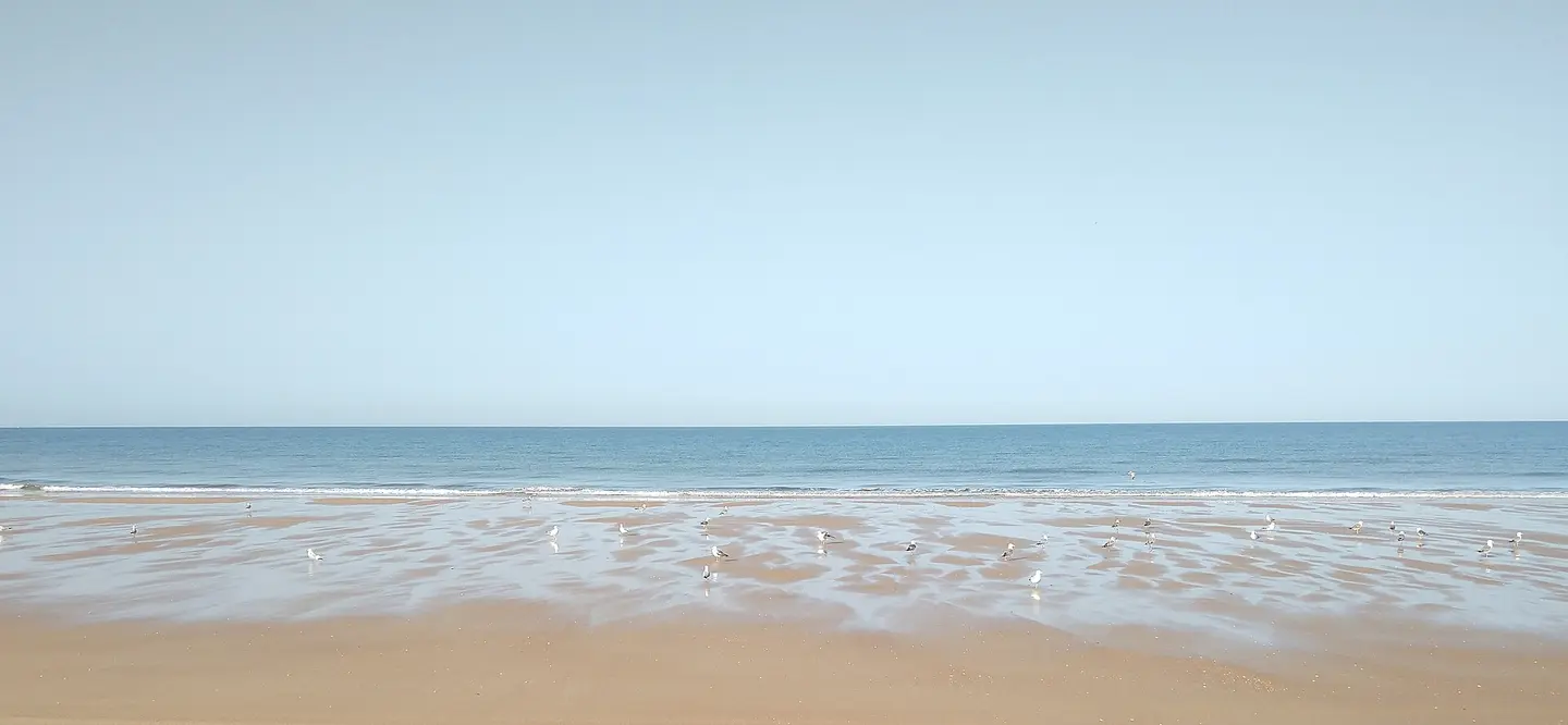 Playa de Doñana