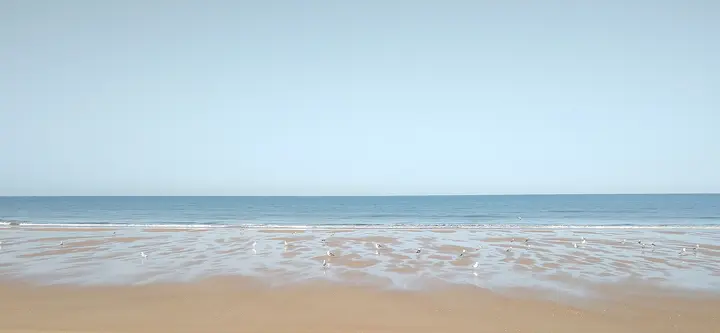 Playa de Doñana