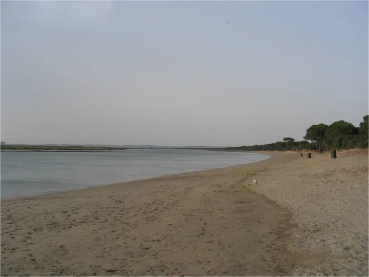 Playa del Conchal
