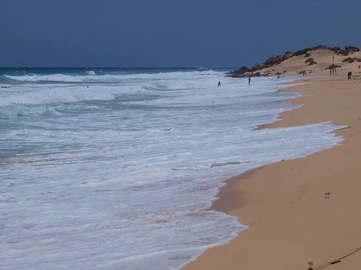 Playa del Rosadero
