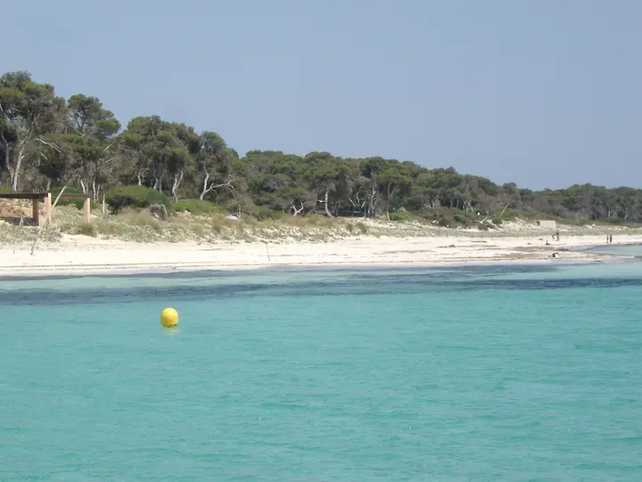 Playa de Es Carbó