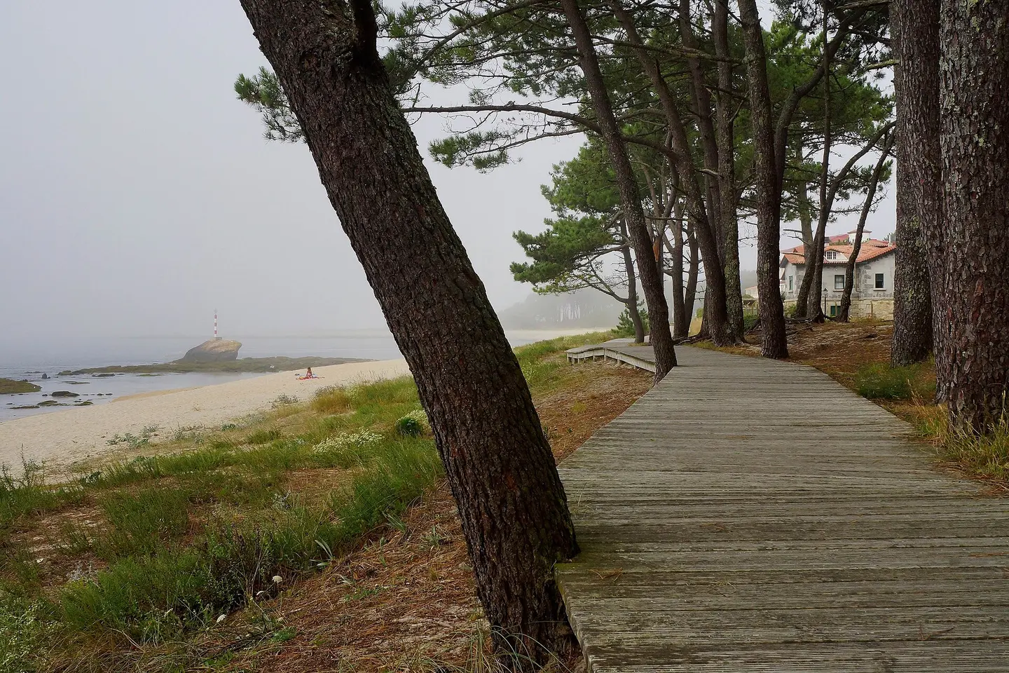 Playa de Fedorento