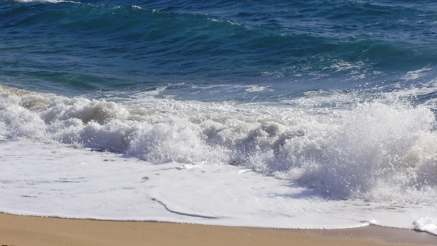 Playa de Gran de Palamós