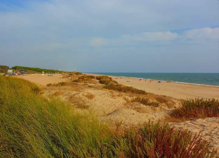 Playa de la Bota