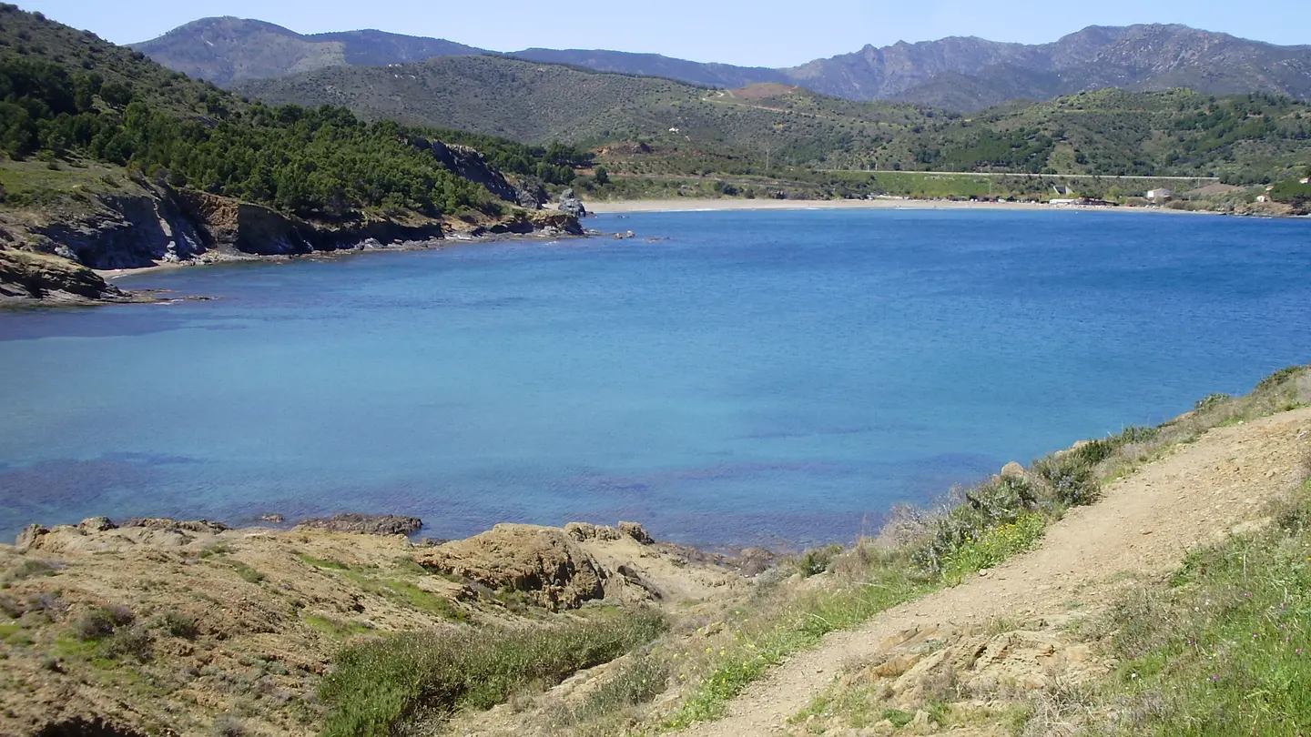 Playa del Borró