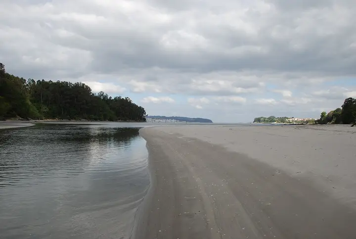 Playa Alameda