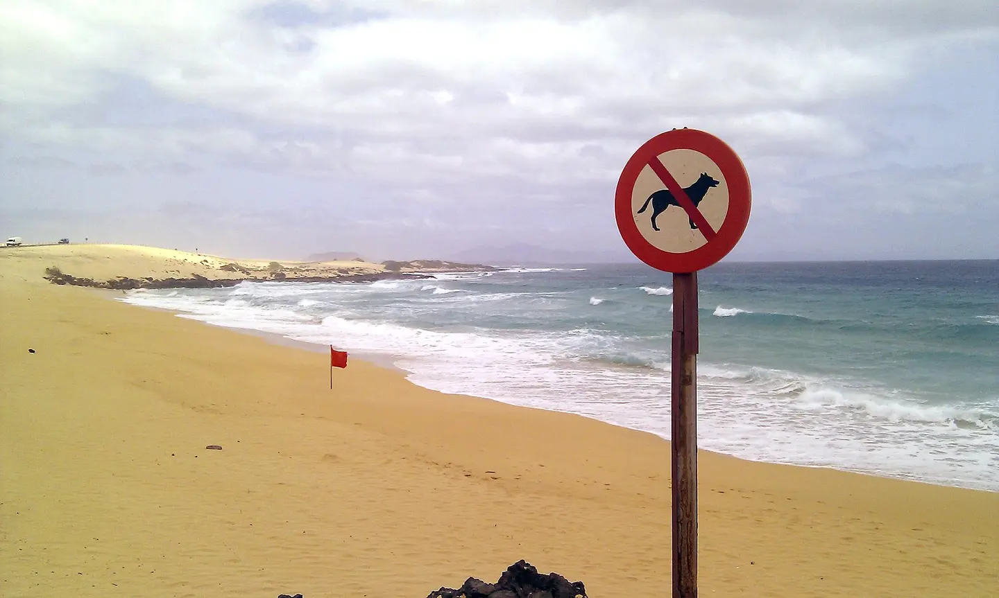 Playa La Alzada