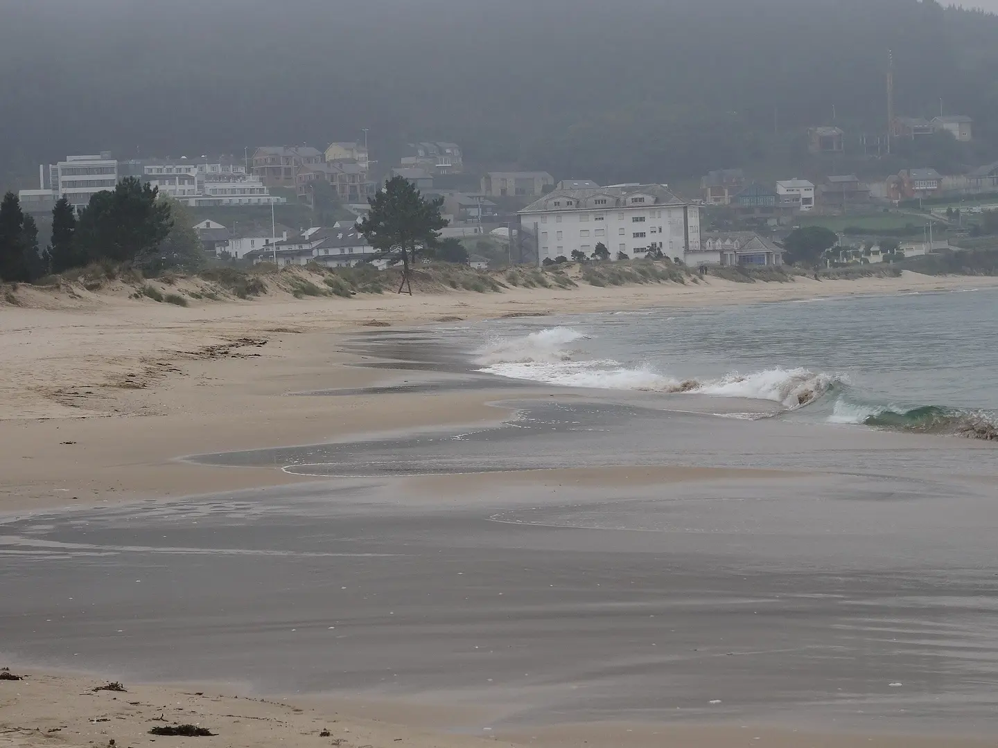 Playa Area