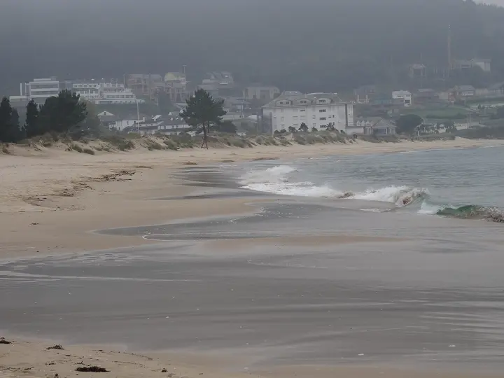 Playa Area