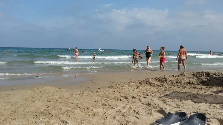 Playa Cala Bosque