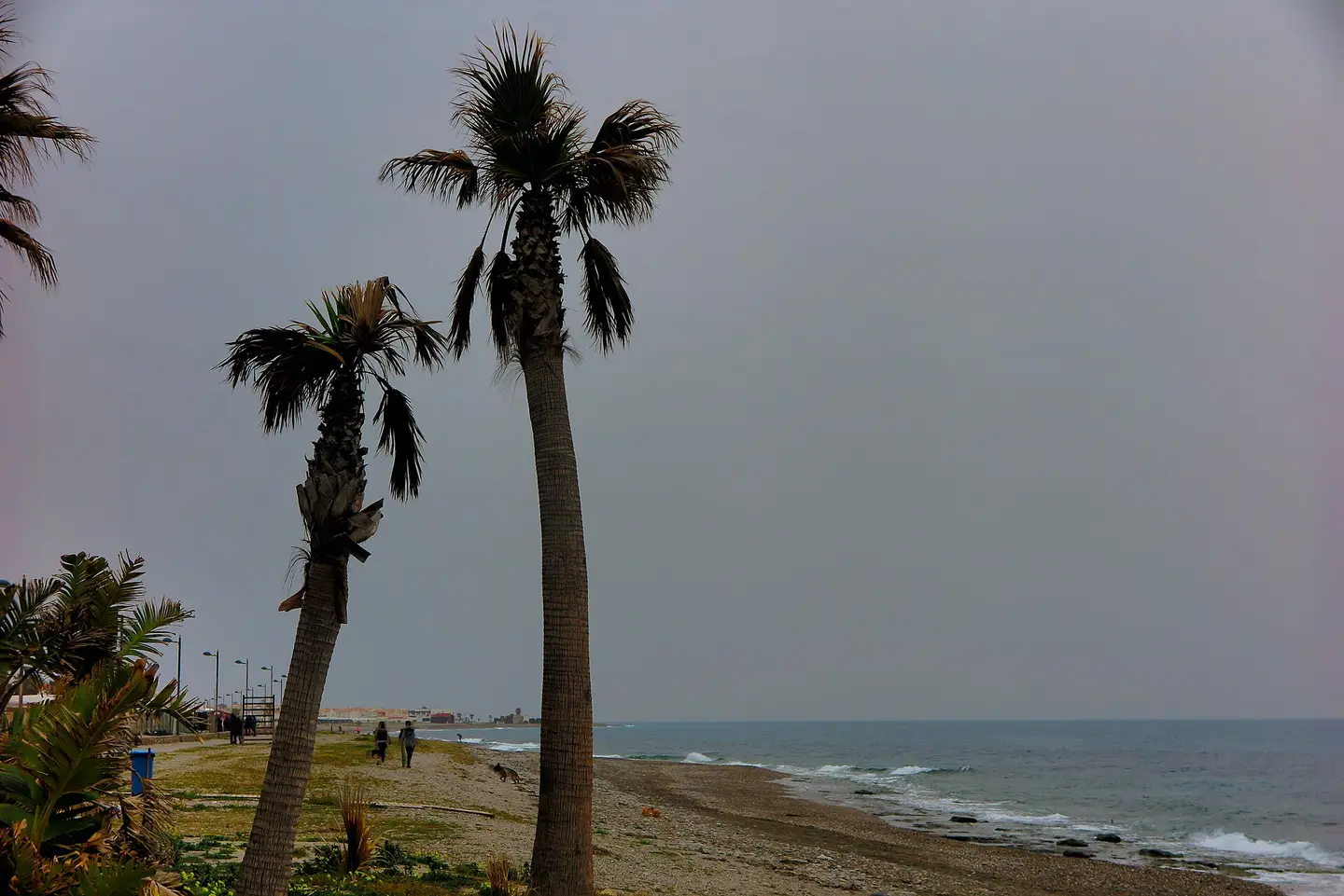 Playa Carchuna