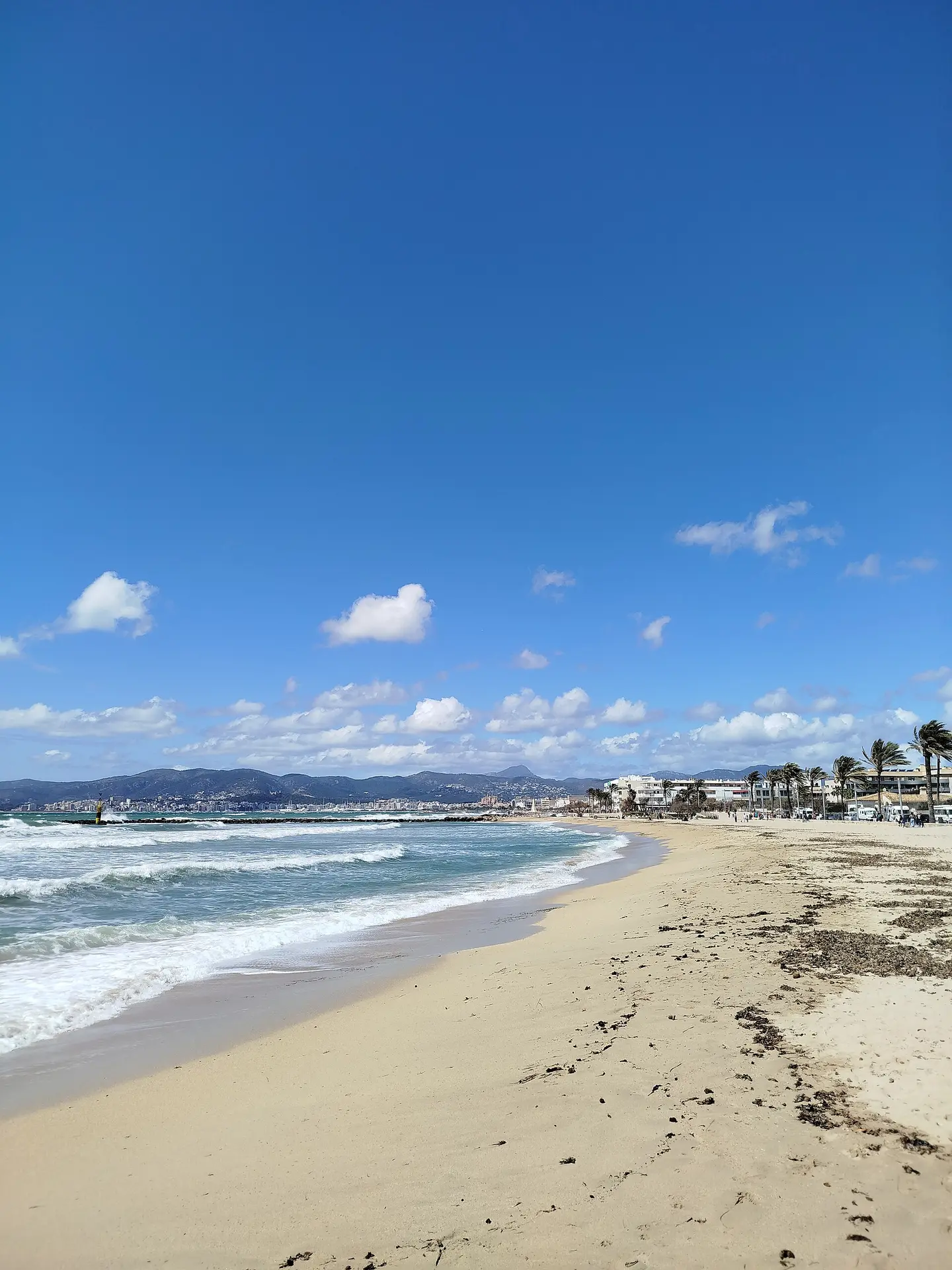 Playa Ciutat Jardí