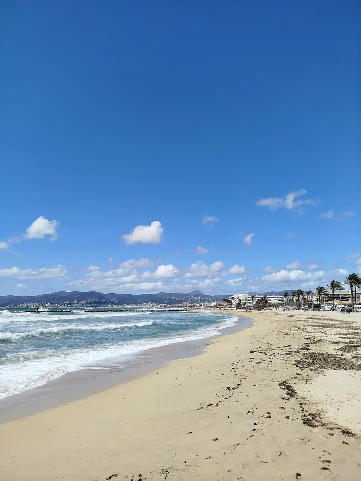 Playa Ciutat Jardí