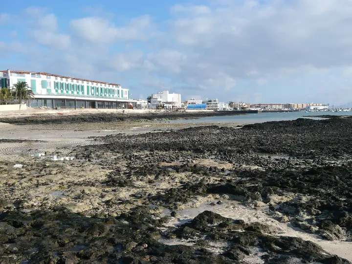 Playa Clavellina (Norte La Goleta)