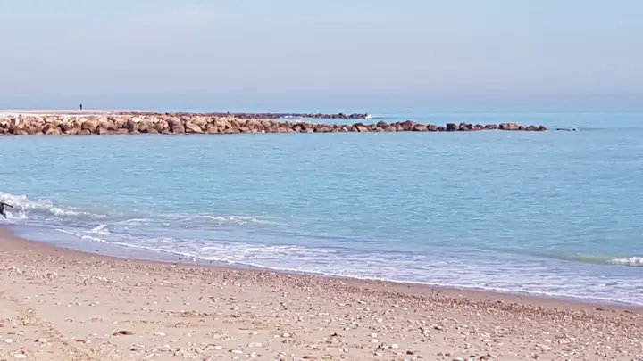 Playa de Grao