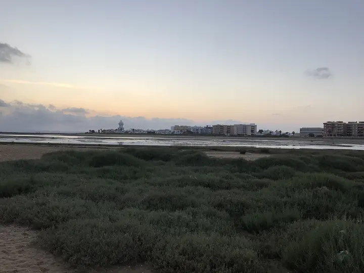 Playa de La Gaviota