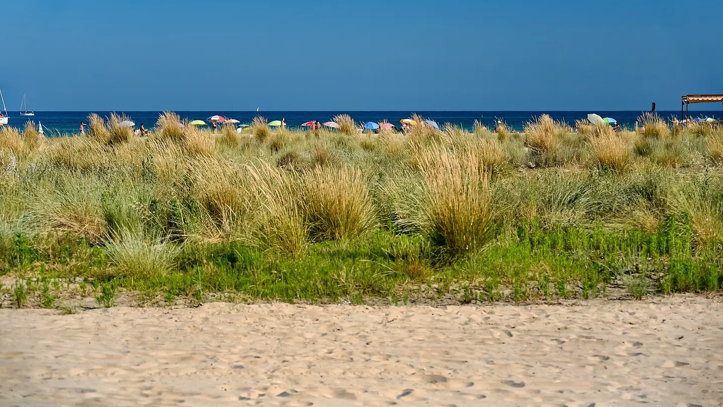 Playa de La Paella