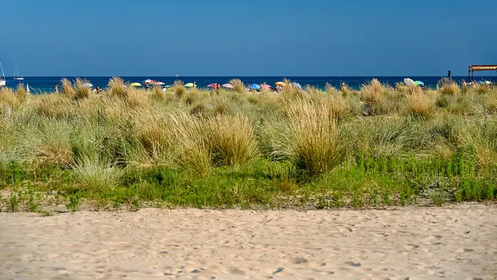 Playa de La Paella