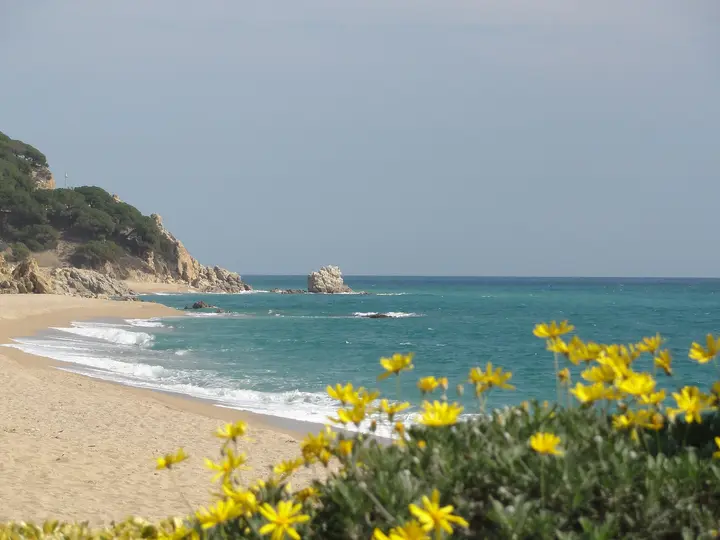 Playa de La Platjola I El Morer