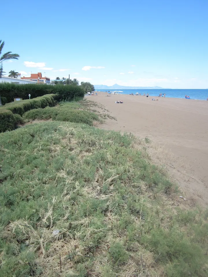 Playa de Les Marines