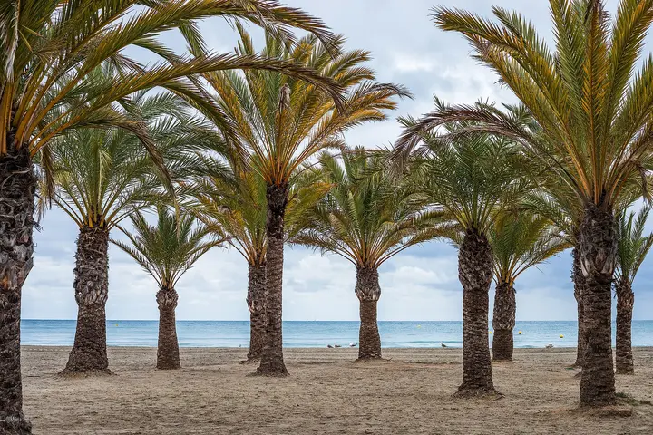 Playa de Llevant