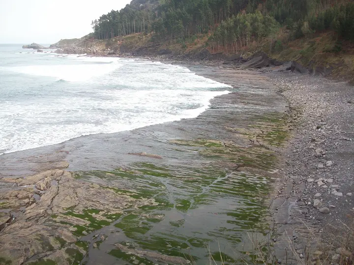 Playa de Ogella