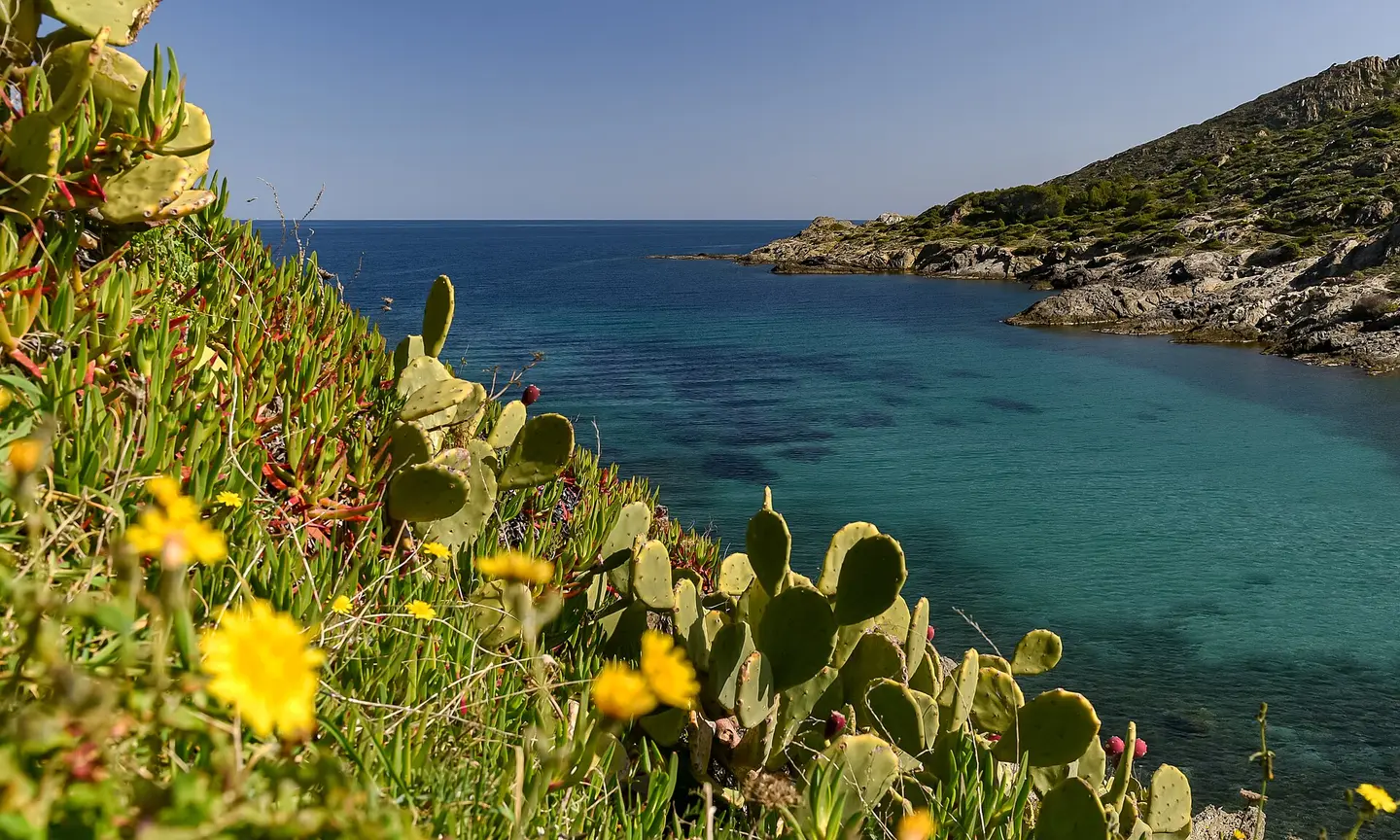 Playa de Tamariua