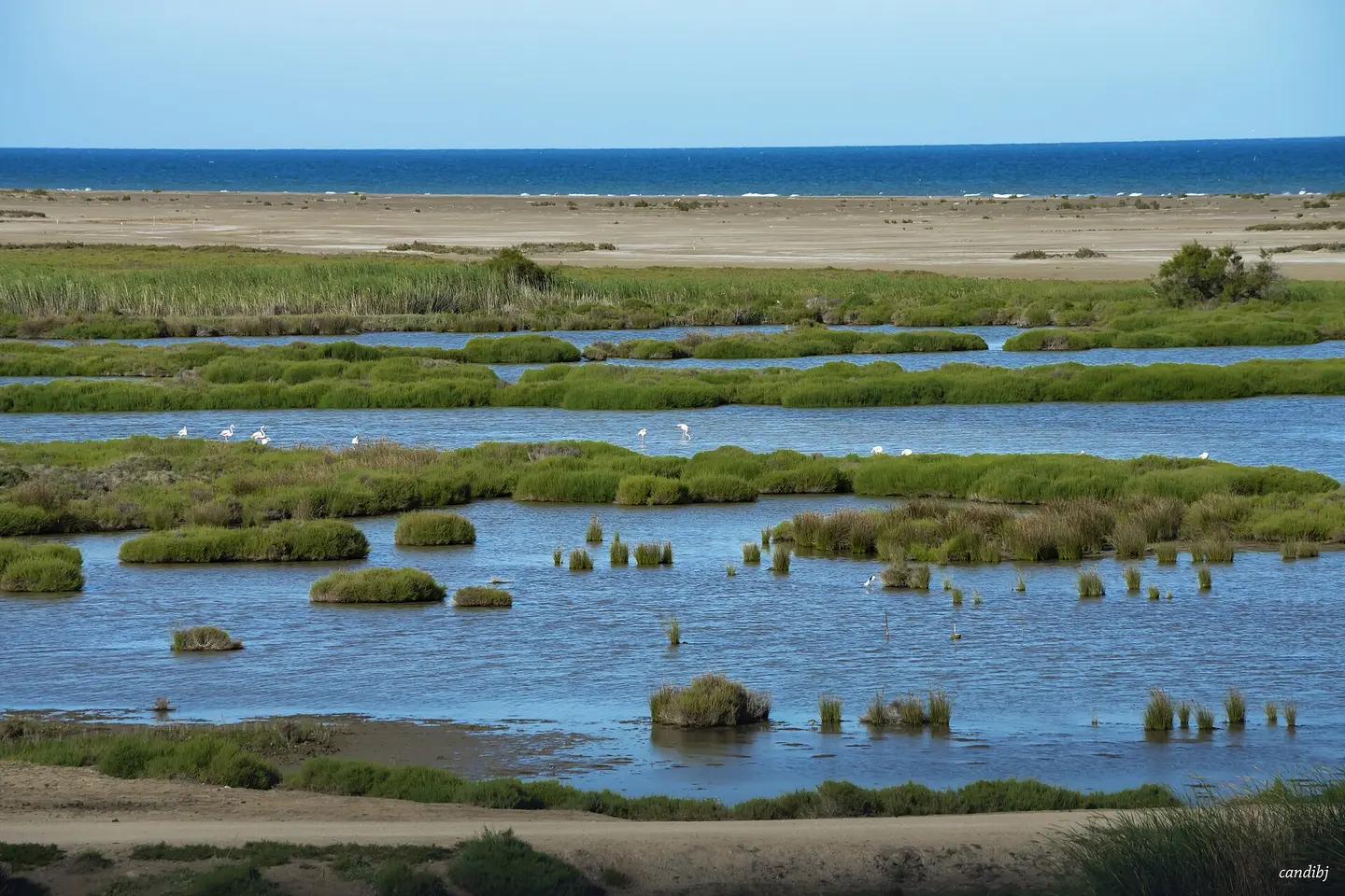 Playa del Migjorn