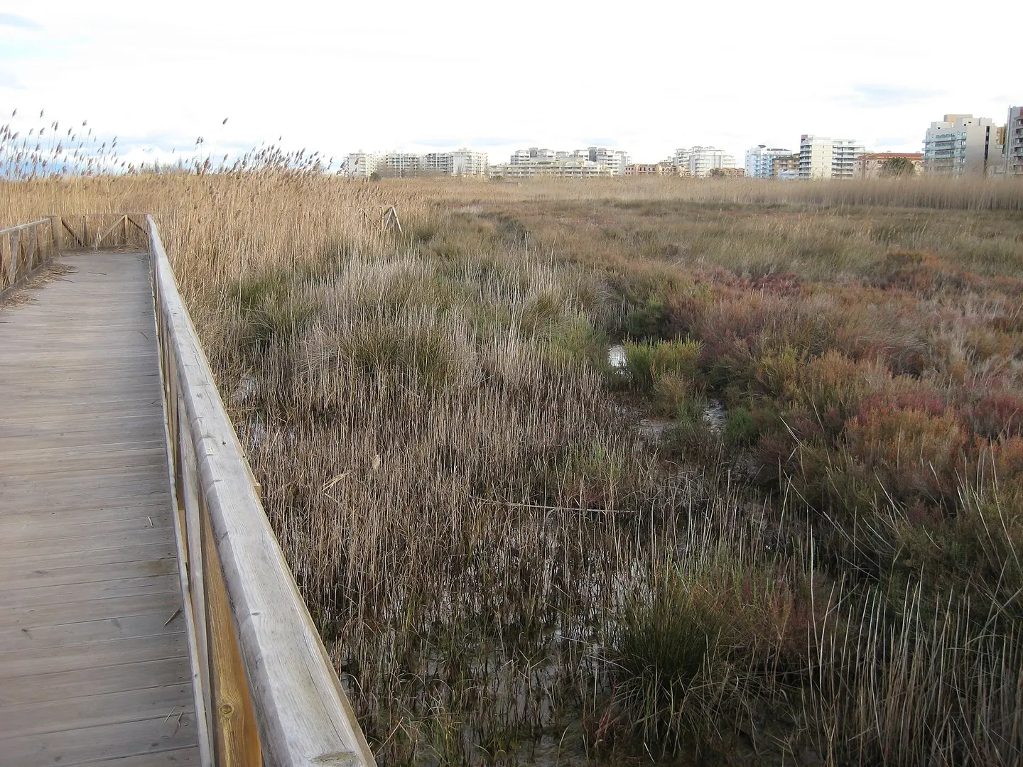 Playa del Nord