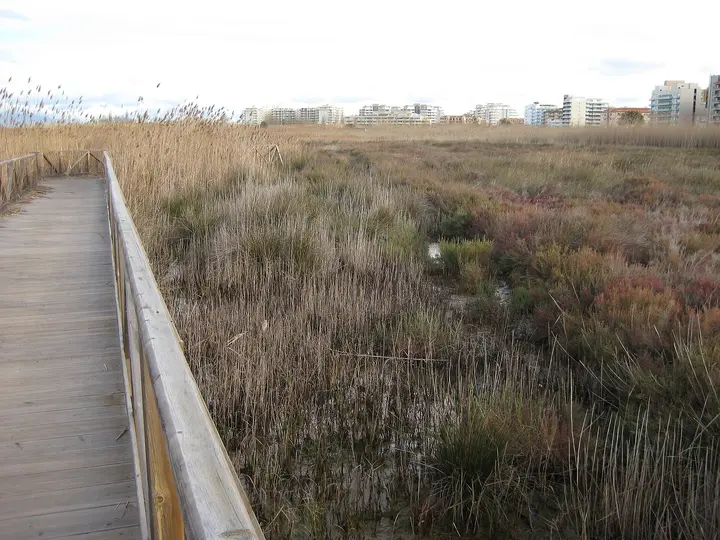 Playa del Nord