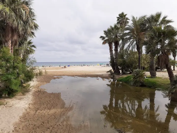 Playa del Prat D'En Forés-Regueral
