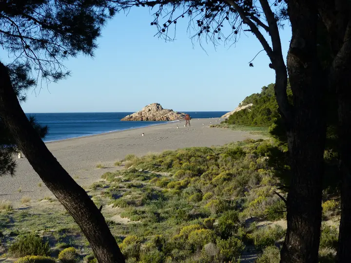 Playa del Torn
