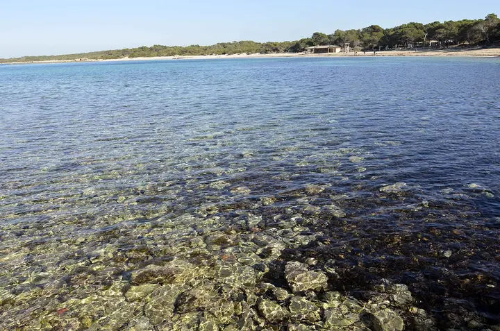 Playa Dels Estanys