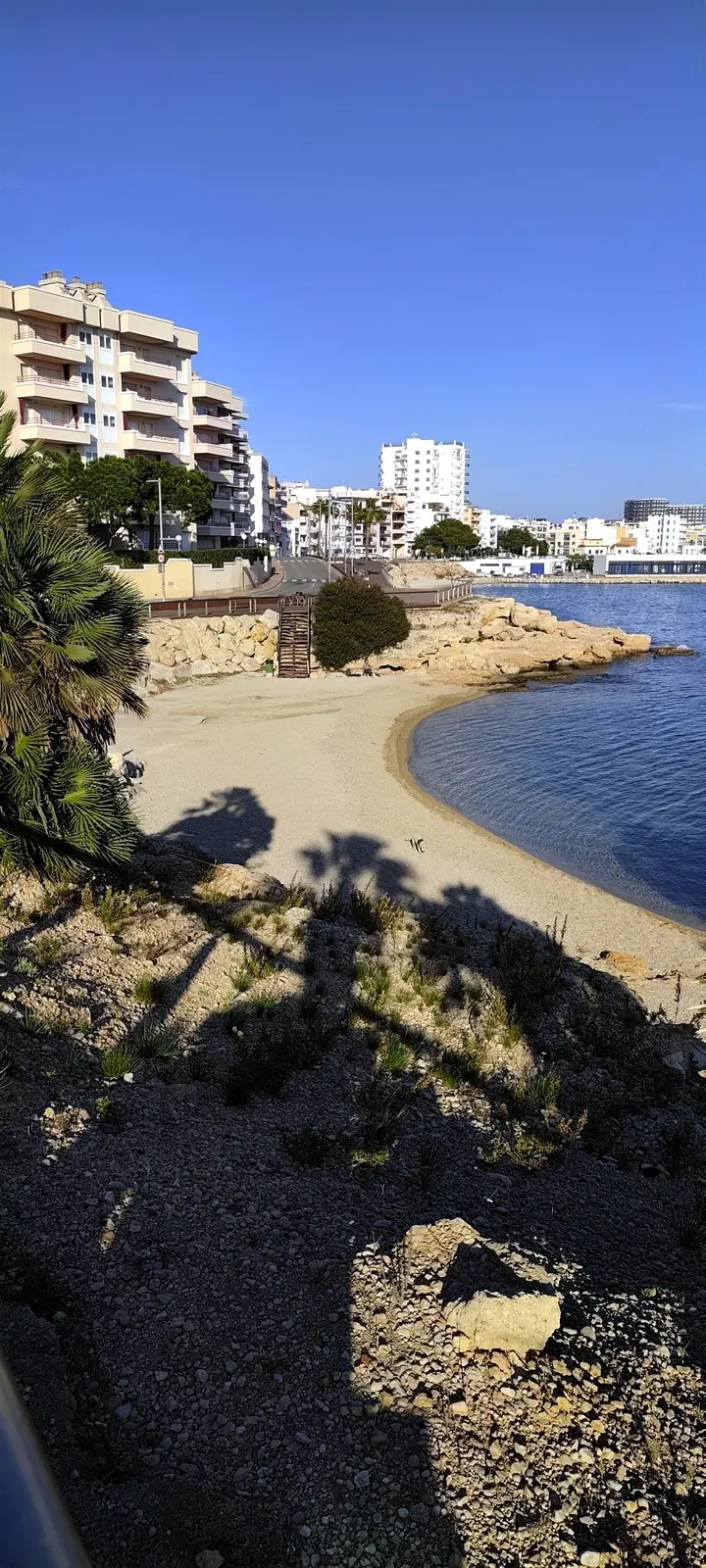 Playa dels Pinets