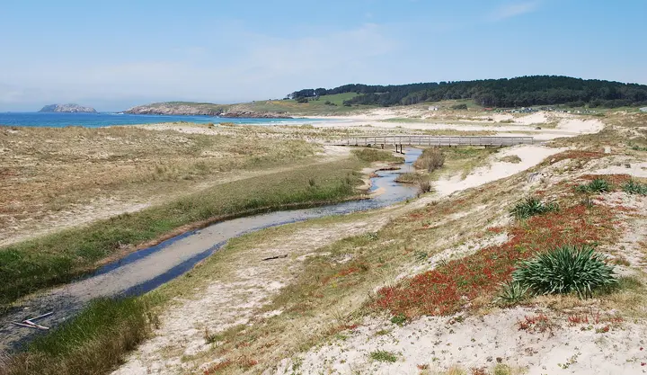 Playa Doniños