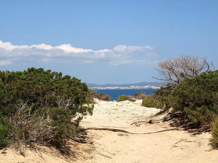 Playa Es Cavallet