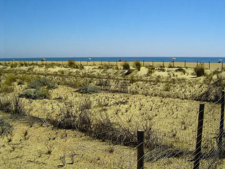 Playa Espigon