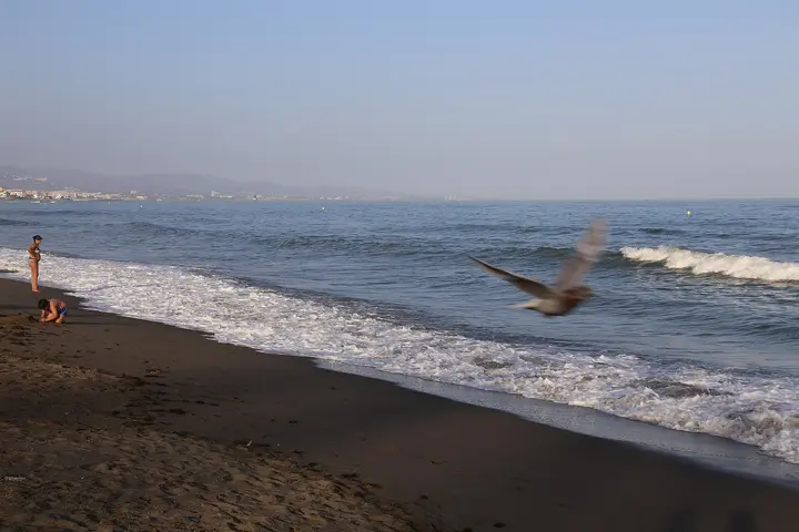 Playa Guadalmina-San Pedro