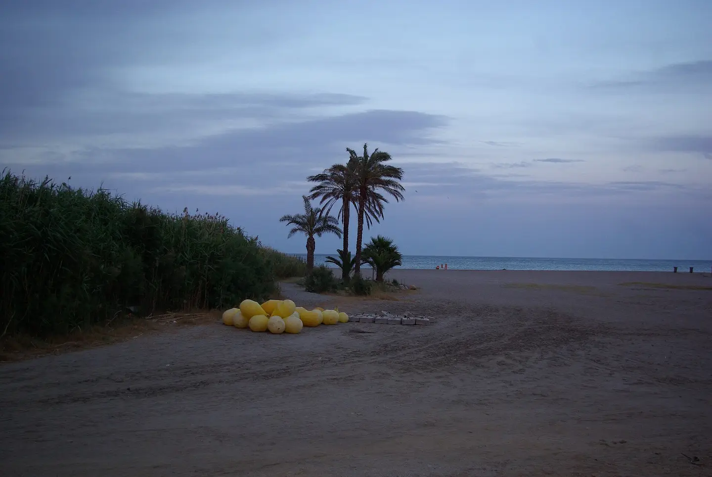 Playa Las Marinas-Bolaga