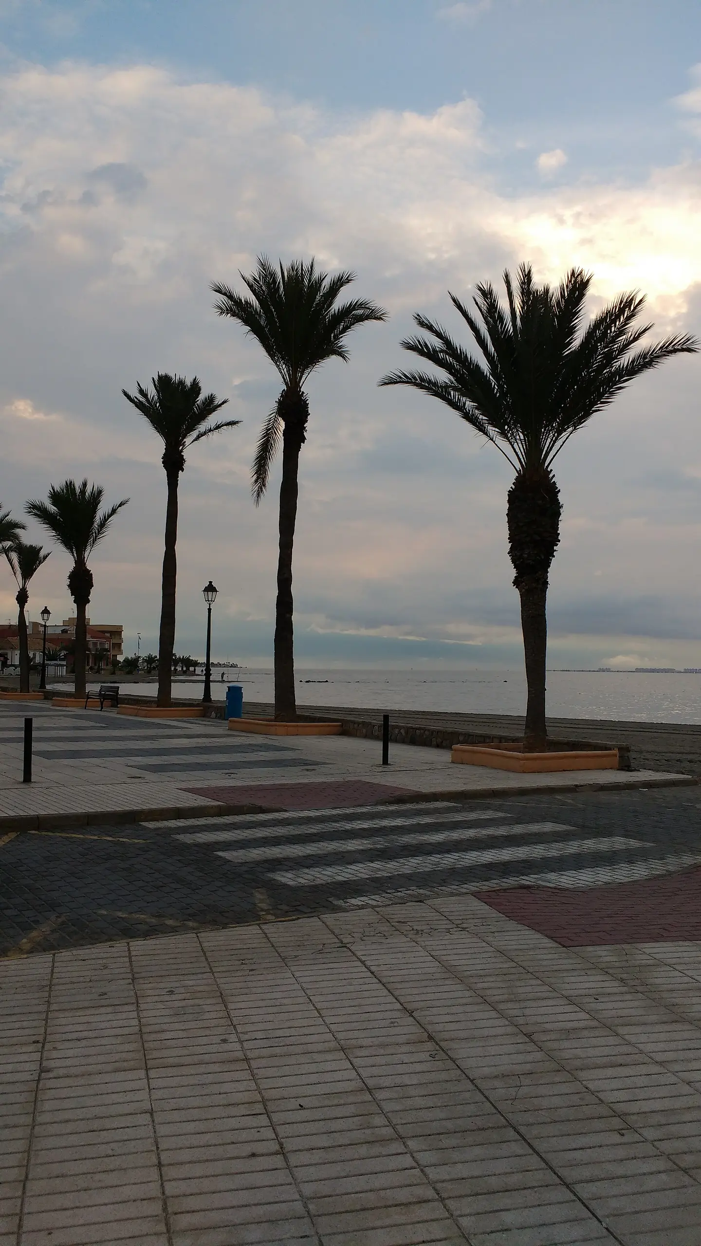 Playa Las Palmeras