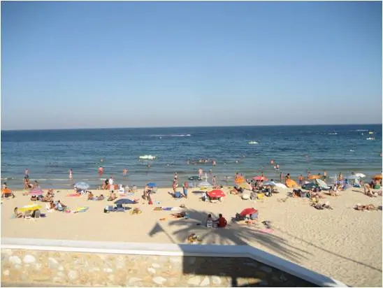 Playa Mil Palmeras