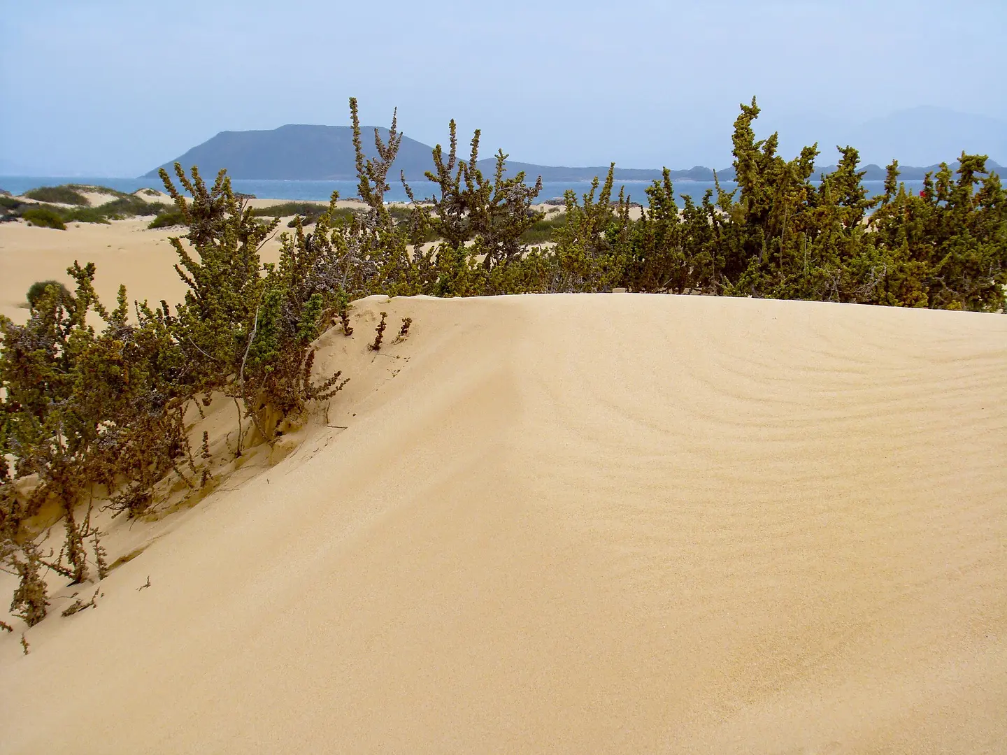Playa El Moro
