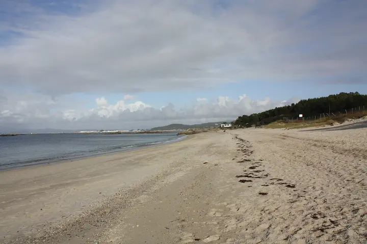 Playa O Carreiro - Grove