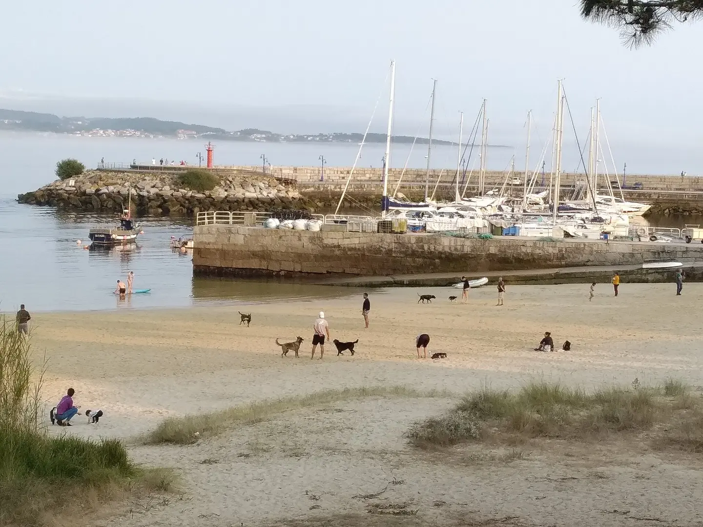 Playa O Espiño